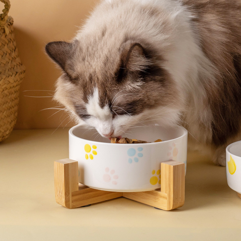 Ceramiczna miska dla psa z dre – Baby Food Cat recenzja i cena