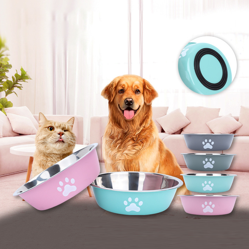 Nowa miska dla psa ze stali ni – Baby Food Cat recenzja i cena