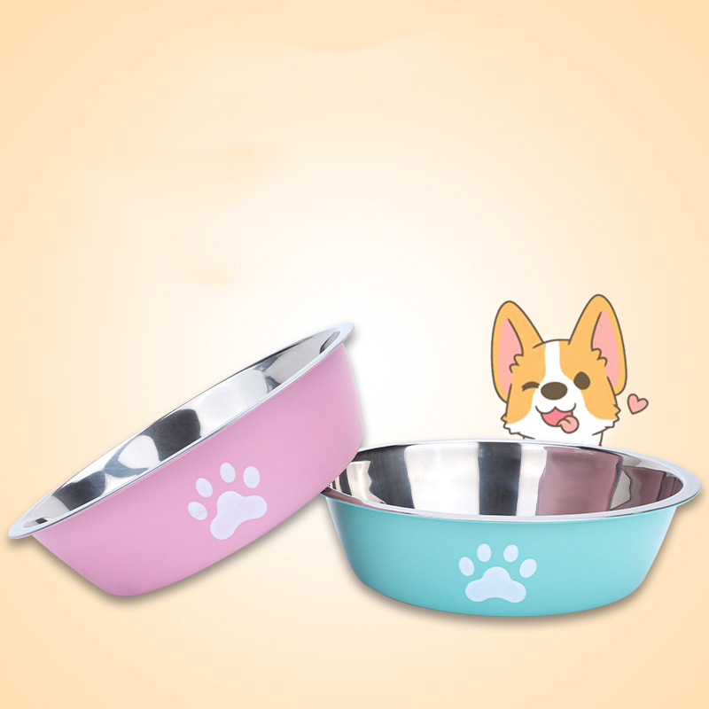 Nowa miska dla psa ze stali ni – Baby Food Cat recenzja i cena
